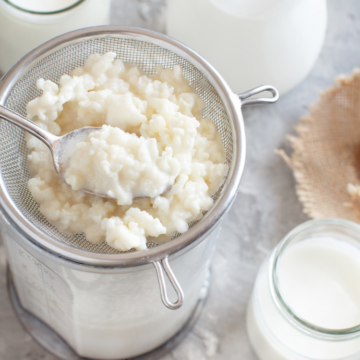 Straining kefir grains on counter with glasses of milk kefir