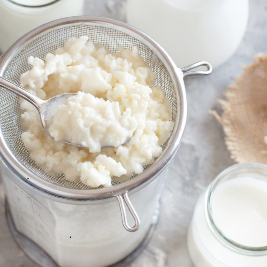 Straining milk kefir grains into jar