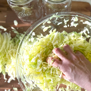 Massage salt into chopped cabbage in glass bowl